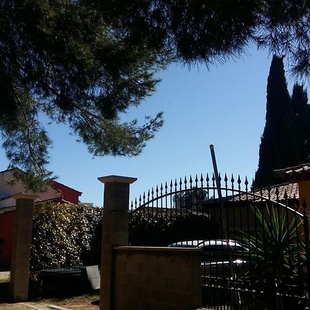 Chambres De La Terre Blanche Sanary-sur-Mer Rom bilde