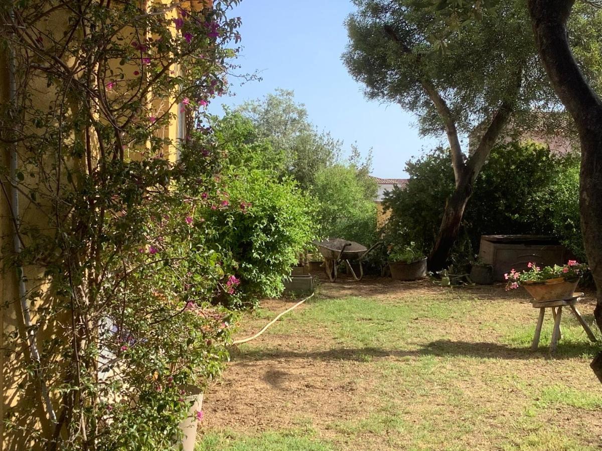 Chambres De La Terre Blanche Sanary-sur-Mer Eksteriør bilde