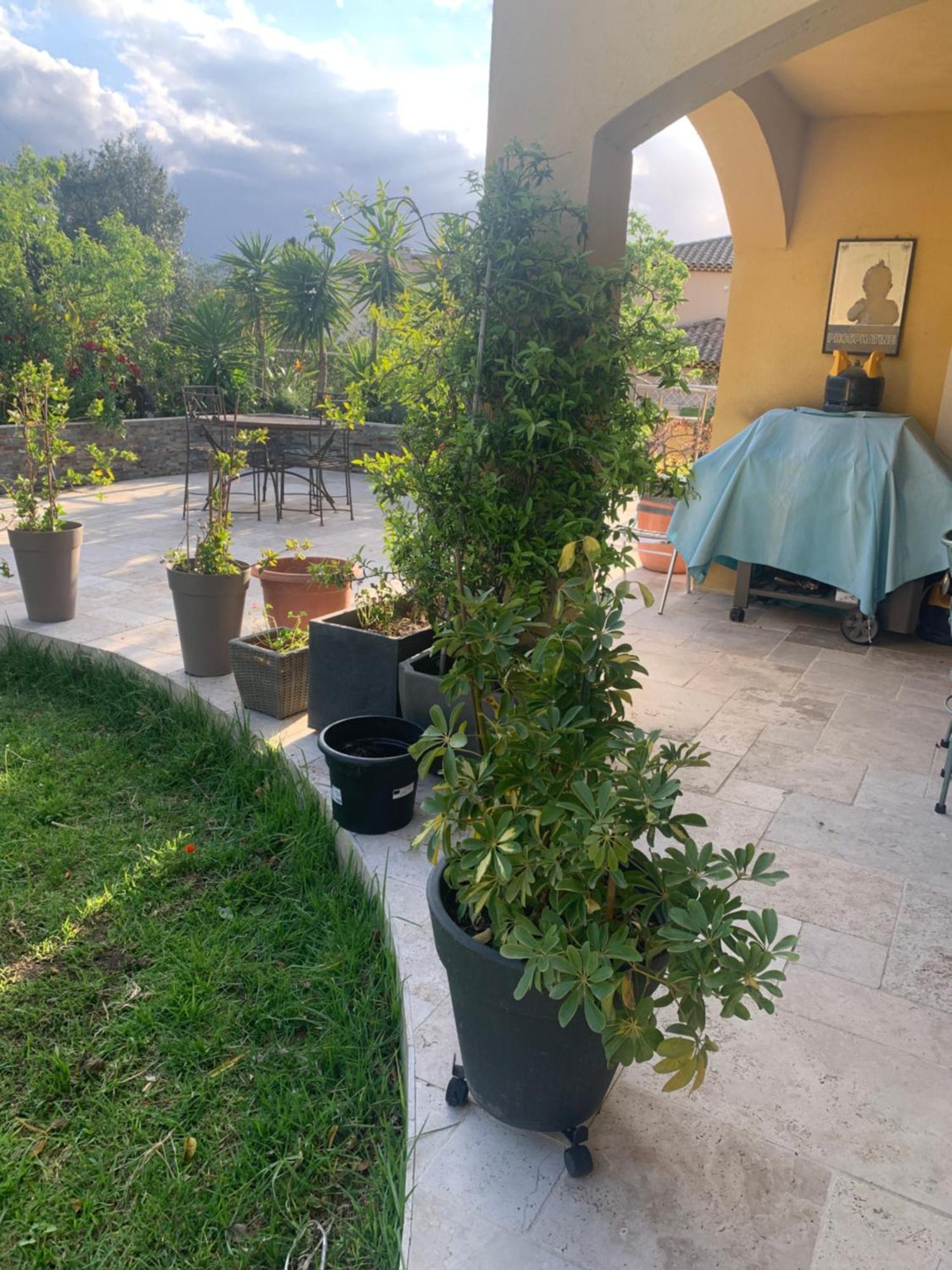 Chambres De La Terre Blanche Sanary-sur-Mer Eksteriør bilde